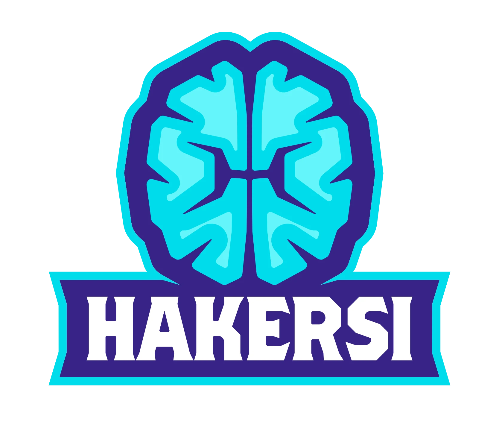 Logo programu Hakersi — Fundacja Sarigato